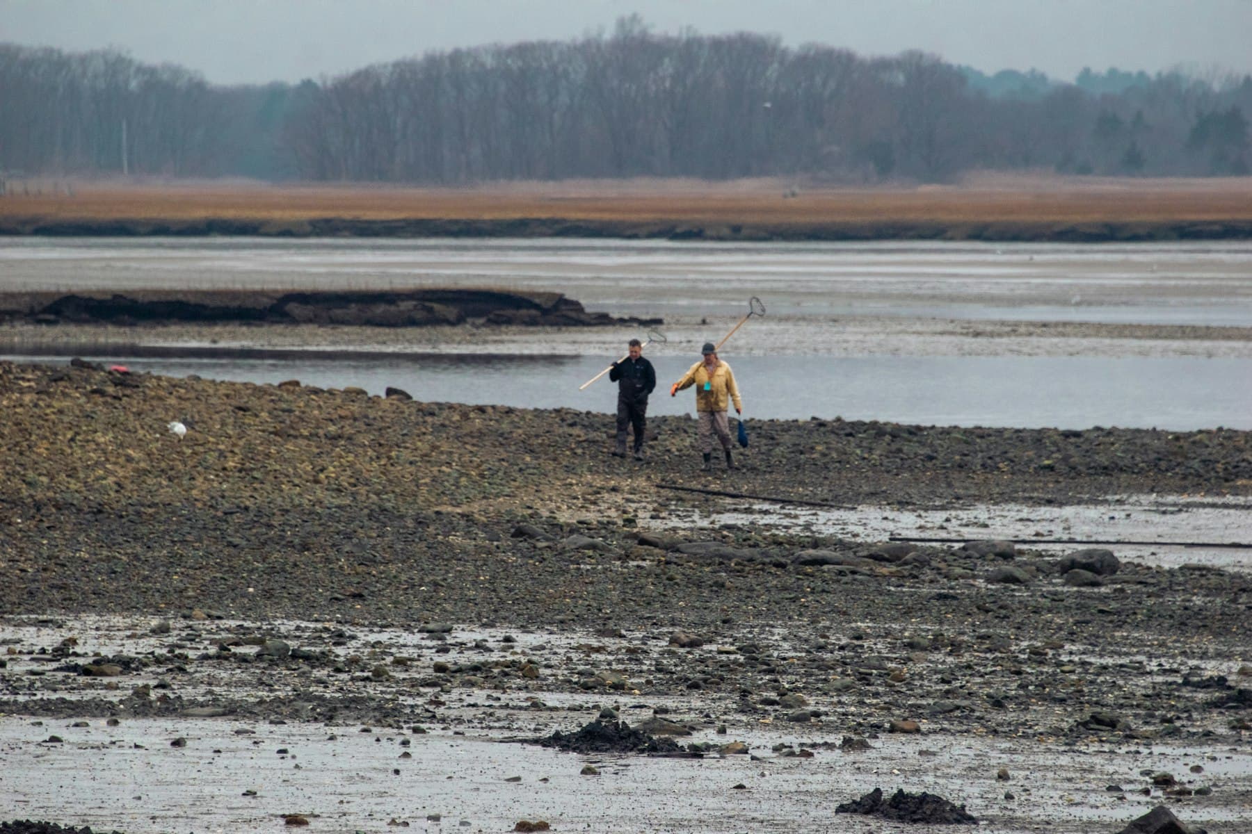 Fisherman on tidal flats, grey sky, b/w